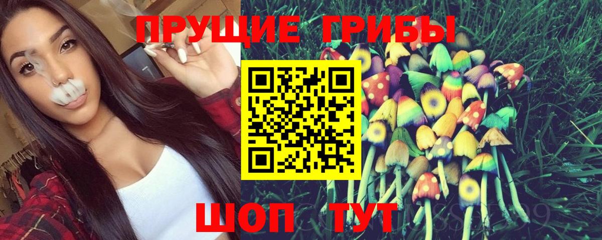 Галлюциногенные грибы Psilocybe  Вход с VPN  Богданович 