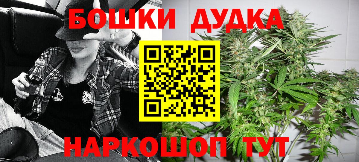 Бошки марихуана Amnesia Богданович